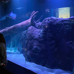 Meet your Posher, Sophia